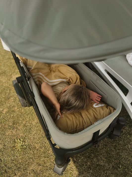 Pronto Stroller – Olive Green